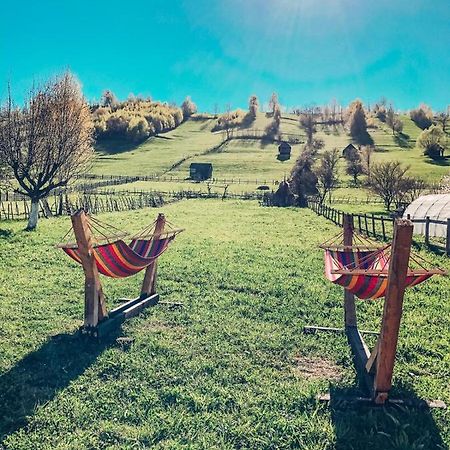 Cabanute Luca Ama Bran Villa Brasov Exterior photo