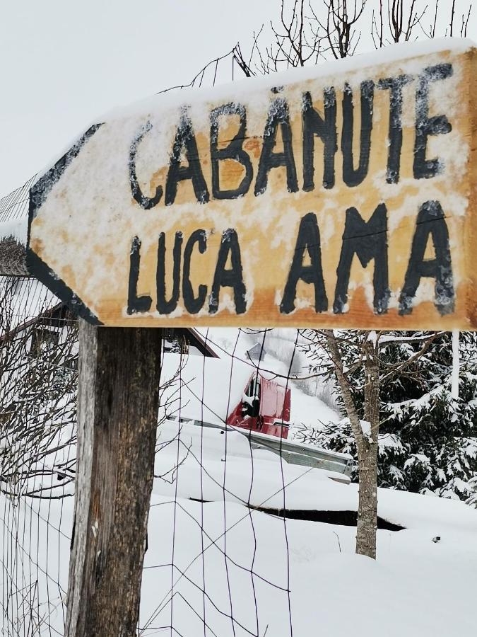 Cabanute Luca Ama Bran Villa Brasov Exterior photo