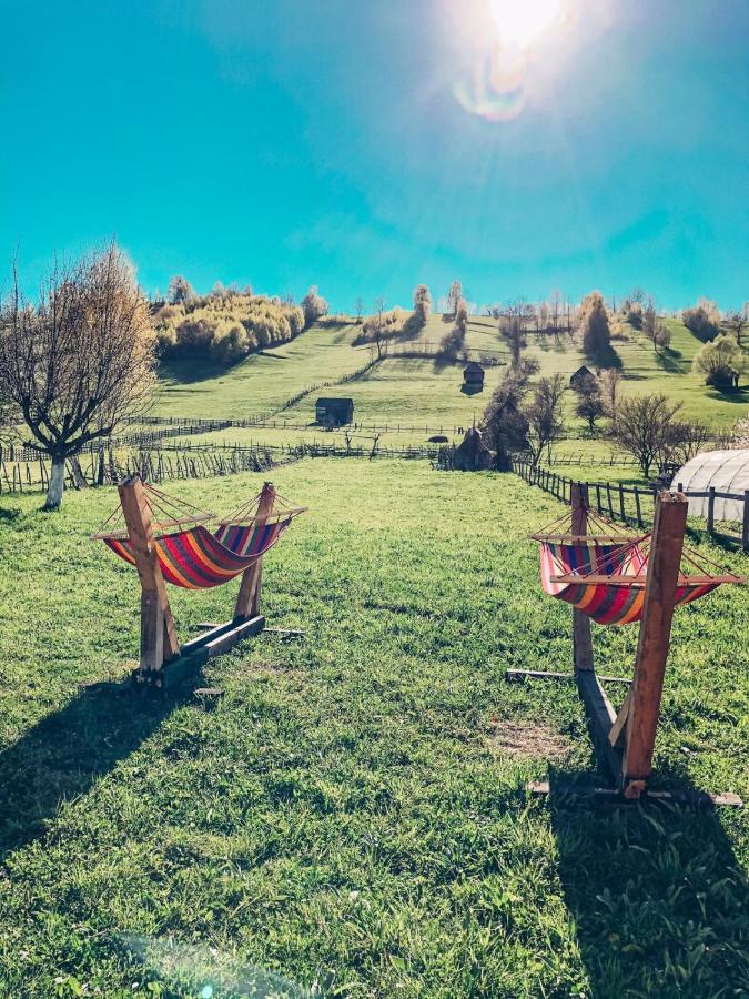 Cabanute Luca Ama Bran Villa Brasov Exterior photo