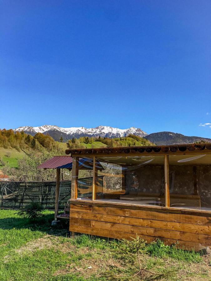 Cabanute Luca Ama Bran Villa Brasov Exterior photo